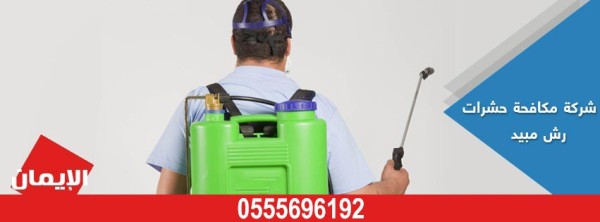 شركة مكافحة حشرات بجدة