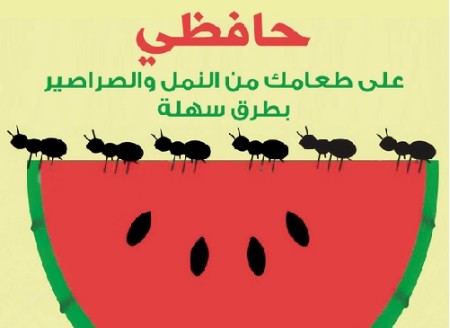 مكافحة الحشرات المنزلية